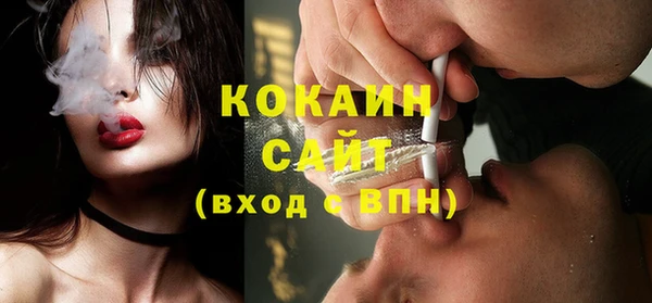 шишки Арсеньев