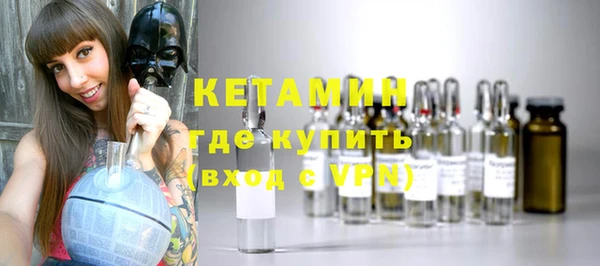 шишки Арсеньев