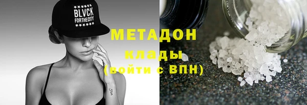шишки Арсеньев