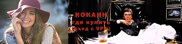 шишки Арсеньев