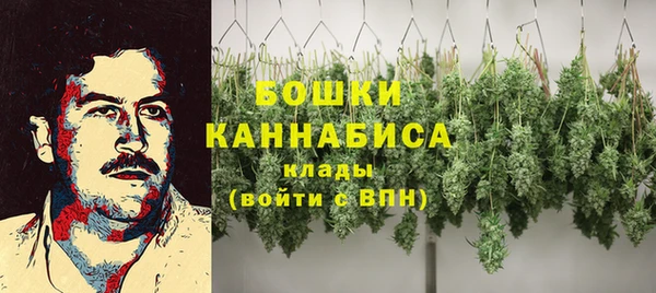 шишки Арсеньев