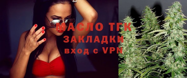 шишки Арсеньев