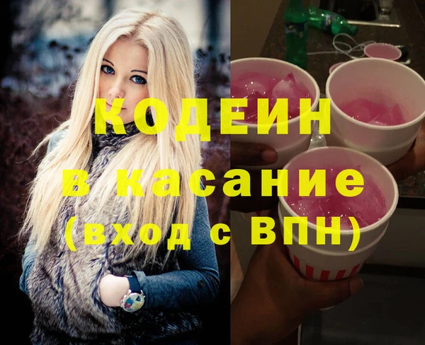 шишки Арсеньев