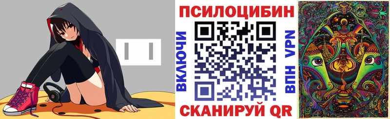 Псилоцибиновые грибы GOLDEN TEACHER  где найти наркотики  Минеральные Воды 